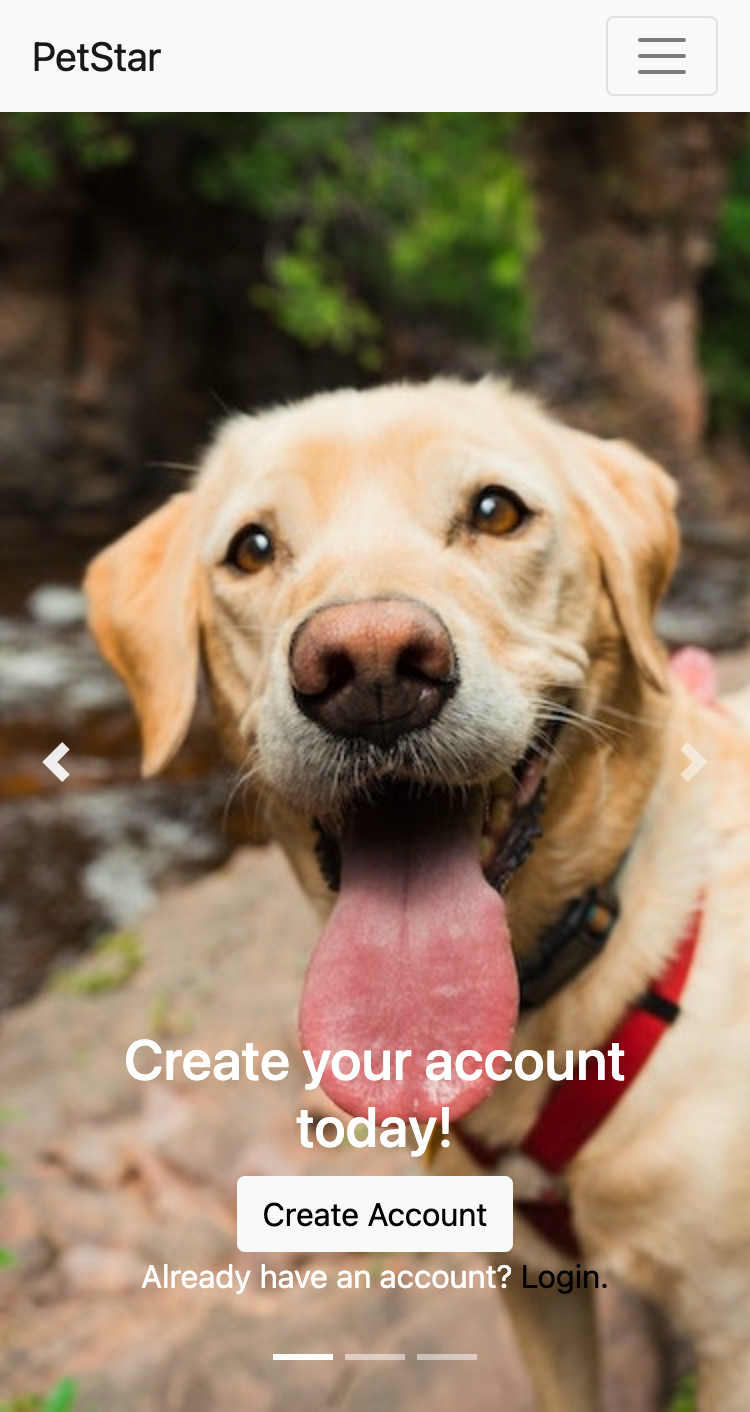 Petstart screenshot